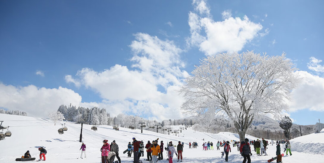Nozawa Onsen Ski Resort